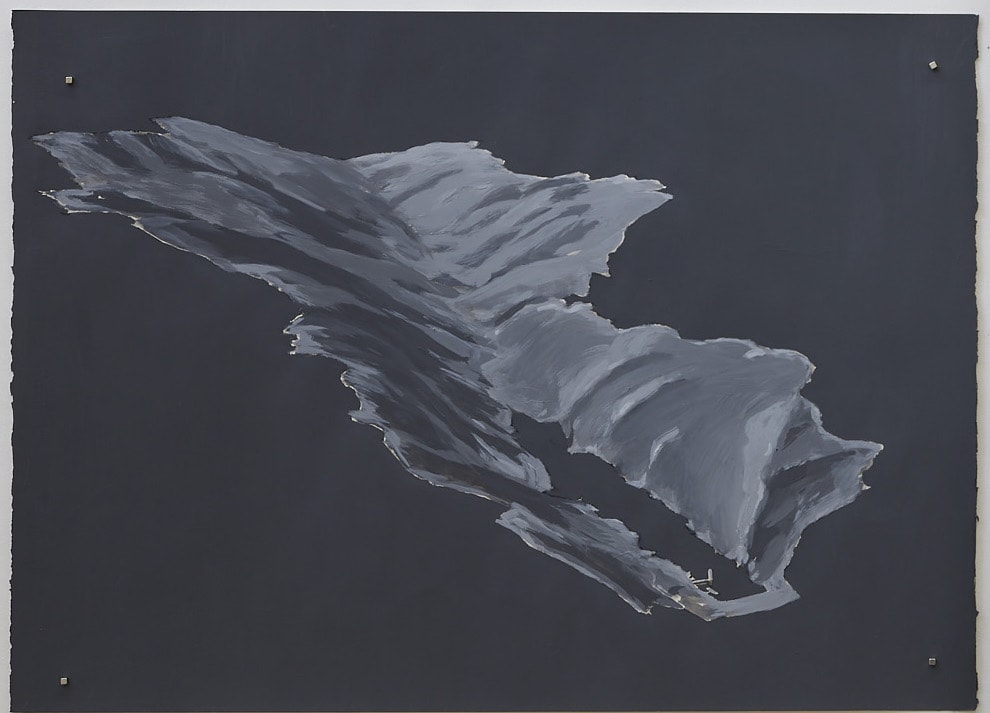 Zealandia drawing II', 2018, acrylic on paper, 76 x 56 cm