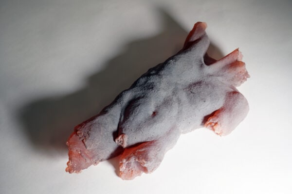 ‘torso - male [red frost]’, 2020, resin, 35 x 18 x 7 cm
