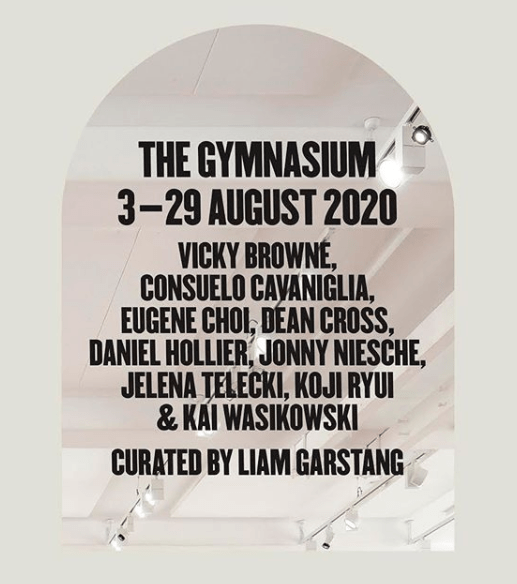 Liam Garstang's exhibition 'The Gymnasuim' in SCA Galleries