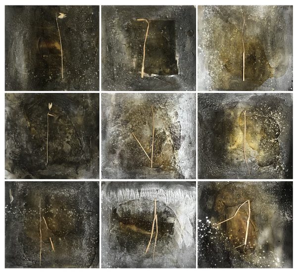Janet Laurence, 'Blindspot’, 1991, charcoal, shellac, silver pigment and native grass on archival paper, 24 x 27 cm each, nine pieces, 72 x 81 cm overall