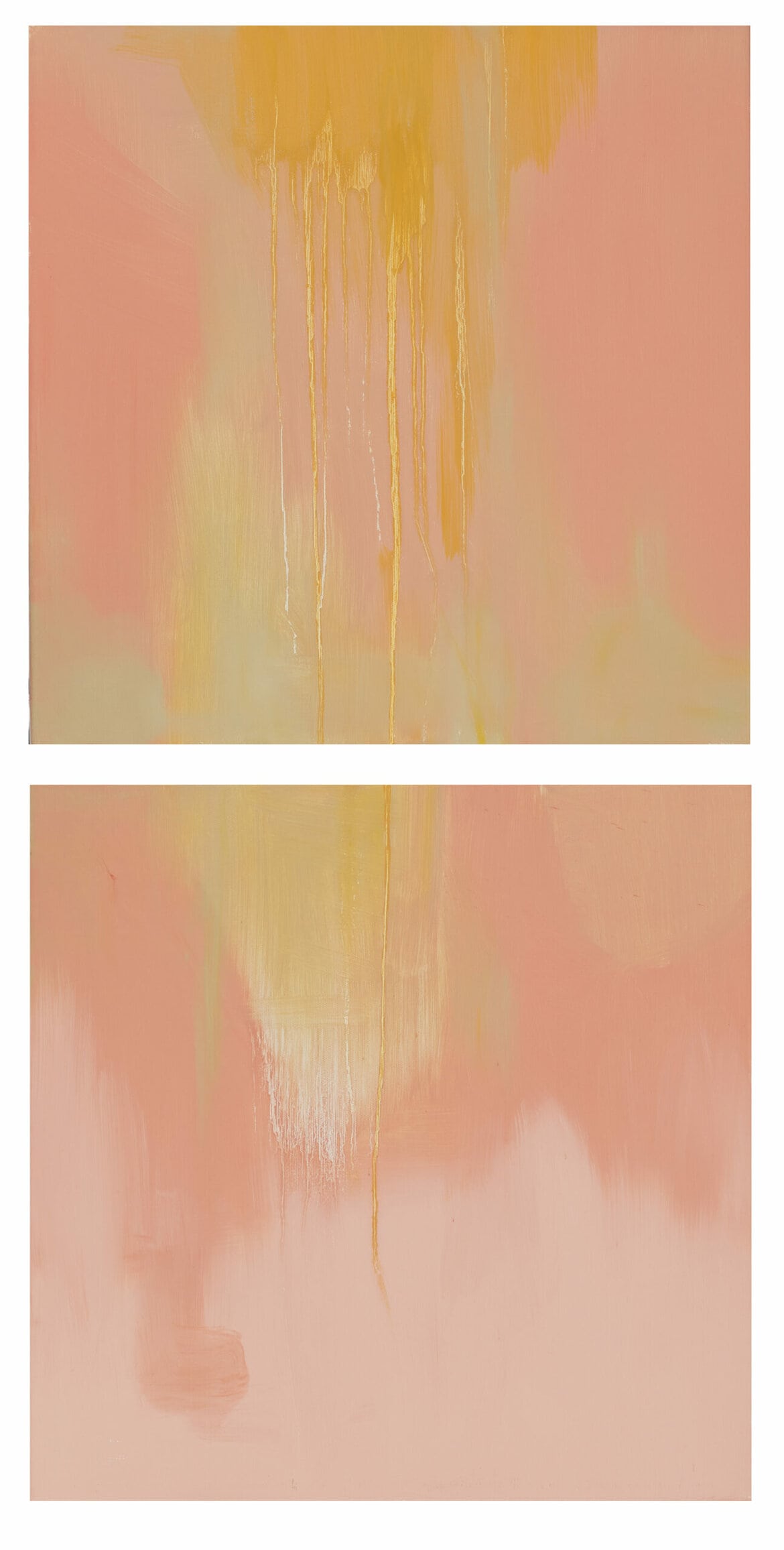 'Diptych 9', 2022, oil and acrylic on Belgian linen, 2 panels, 100 x 50cm