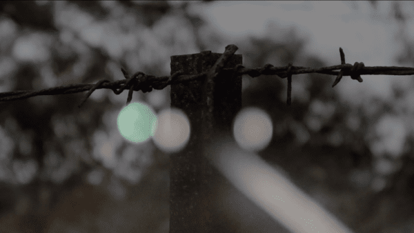 Katie West, 'wana-string-fence-lines' (video still), 2021, digital video