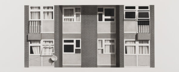 ‘Estate Living’, 2023, charcoal and graphite on paper, 35 x 87 cm, unframed
